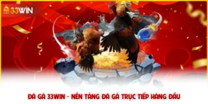 Đá gà 33win - Nền tảng đá gà trực tiếp hàng đầu