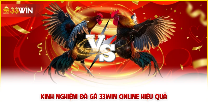 Kinh nghiệm đá gà 33win online hiệu quả 