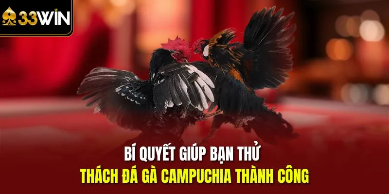 Bí quyết giúp bạn thử thách đá gà Campuchia thành công