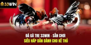 đá gà tre