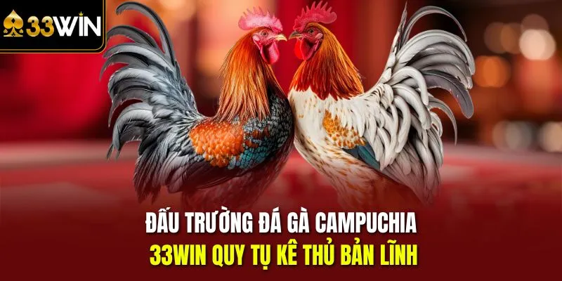 Đá gà Campuchia