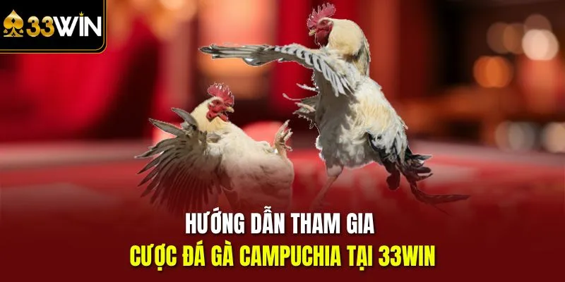 Hướng dẫn tham gia cược đá gà Campuchia tại 33win