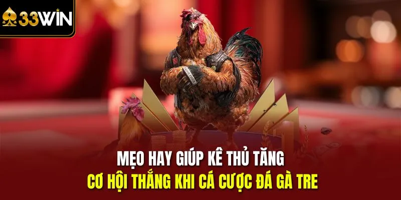 Mẹo hay giúp kê thủ tăng cơ hội thắng khi cá cược đá gà tre